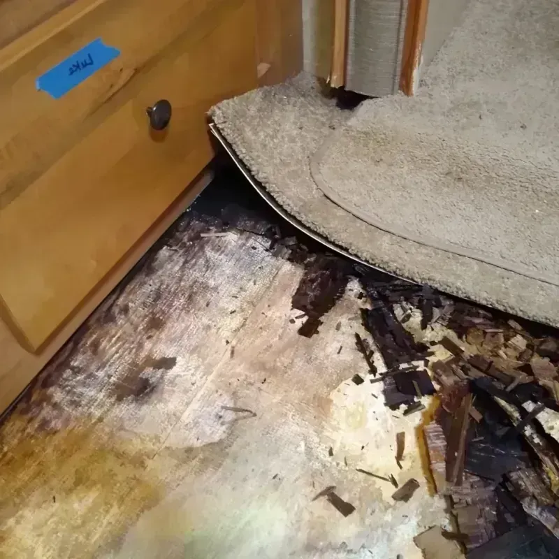 Wood Floor Water Damage in Adair County, OK